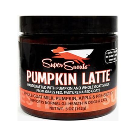 Super Snouts Pumpkin Latte 5 oz