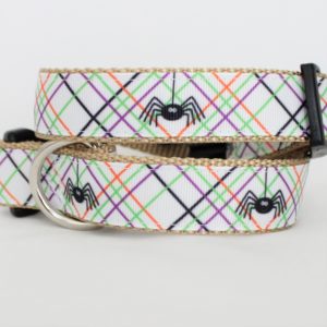 Beach Biscuit Arachnid Collar