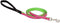 Lupine Dog Leashes