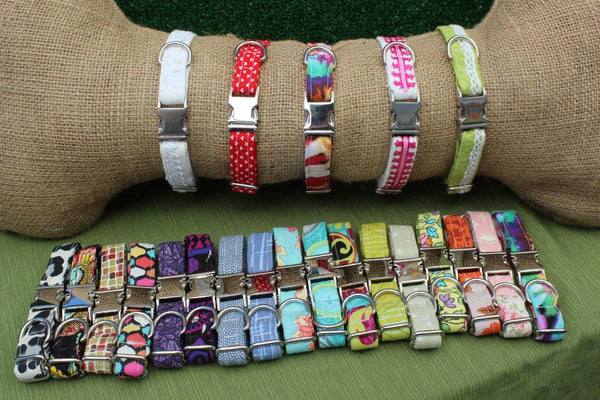 Barks & Bites Collar