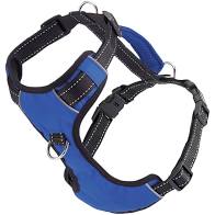 BayDog Chesapeake Harness