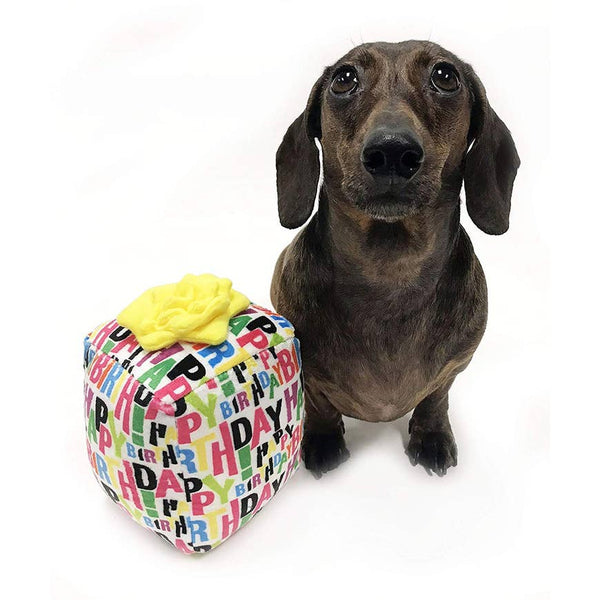 Singing Happy Birthday Gift for Dogs Plush Toy