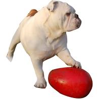 Jolly Pets Jolly Egg Red, 12"
