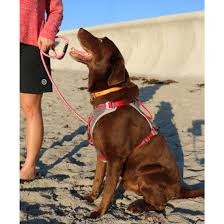 Kurgo Journey Harness Red