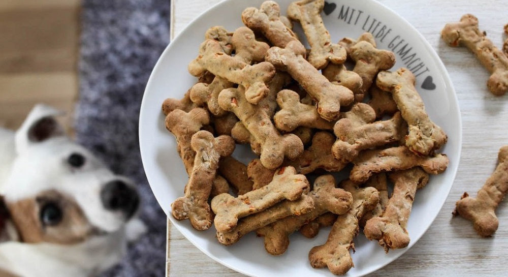 Quality Treats: Ditch the Milk-Bones