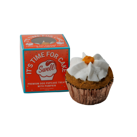 Swell Gelato Dog Treat Frozen Pumpkin Pupcake 2.5 oz