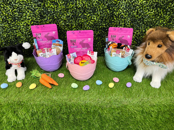 Grab & Go Easter Basket, Cat