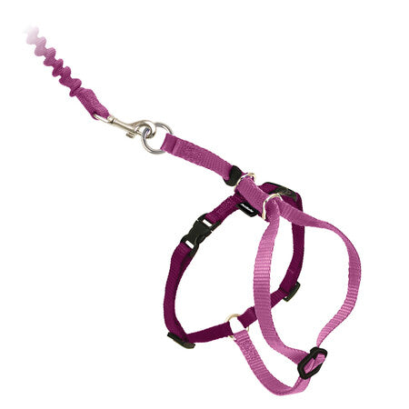 PetSafe Harness Come With Me Kitty Medium Dusty Rose