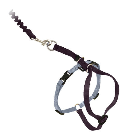 PetSafe Harness Come With Me Kitty Medium Black
