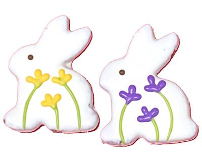 Pawsitively Gourmet Iced Cookie - Easter Cookies