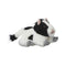 Multipet Look Who's Talking Plush Dog Toys