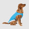 Canada Pooch Cooling Vest Blue, 20"