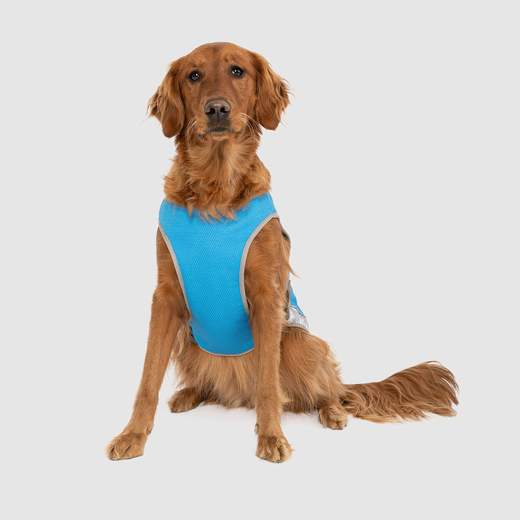 Canada Pooch Cooling Vest Blue, 14"