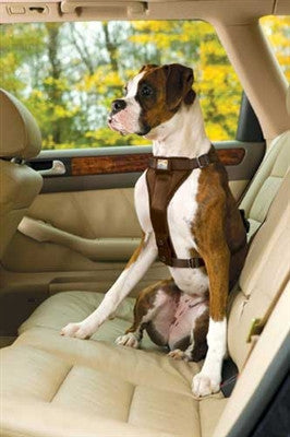 Kurgo Quick Release Harness and Seatbelt