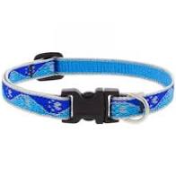 Lupine High Lights Reflective