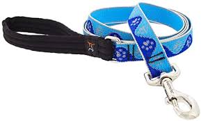 Lupine High Lights Reflective Blue Paws Leash, 6 ft