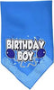 Birthday Bandana