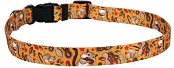 Yellow Dog Designs Collar, Chipmunk
