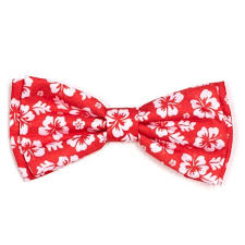 Worthy Dog Bow Tie, "Aloha Flower", Coral