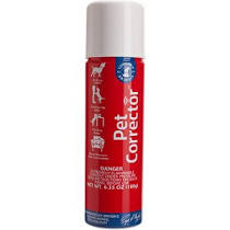 Company of Animals Pet Corrector