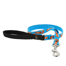 Lupine 1/2” Leash, 6 ft