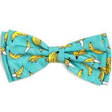 Worthy Dog Bow Tie "Go Bananas", Teal
