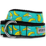 Worthy Dog Collar "Go Bananas"