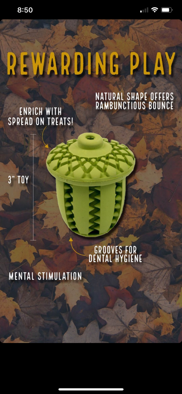 Tall Tails Natural Rubber Acorn, 3"