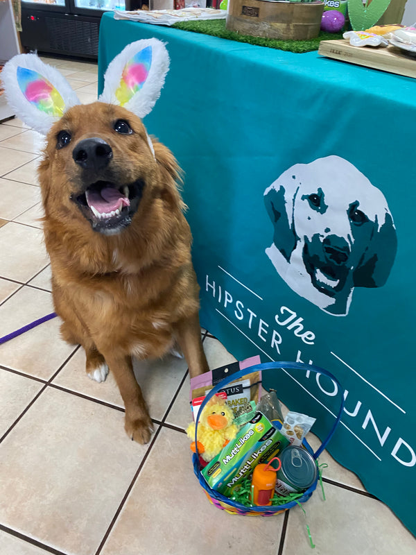 Grab & Go Easter Basket, Dog
