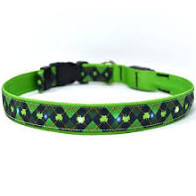 Yellow Dog Designs Collar, Ireland Argyle