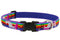 Lupine 1/2” Collar