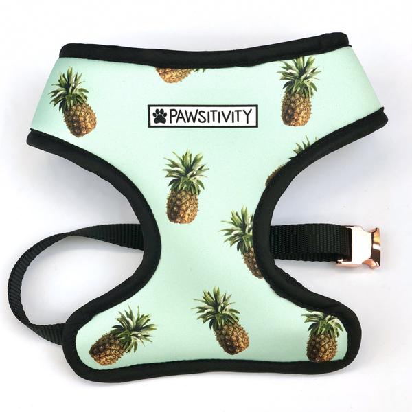 Pawsitivity Reversible Harness, Pineapples