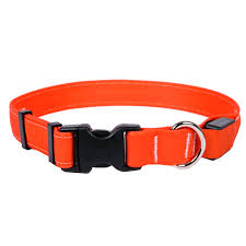 ORION LED Dog Collar, Red