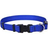 ORION LED Dog Collar, Royal Blue