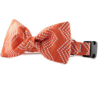 Sophisticated Pup, Orange Splash Dog Collar X-Large