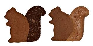 Preppy Puppy Iced Cookie - Squirrel