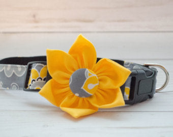 OCY Originals The Sunny Days Collar