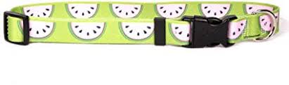 Yellow Dog Designs Collar, Wonderful Watermelon
