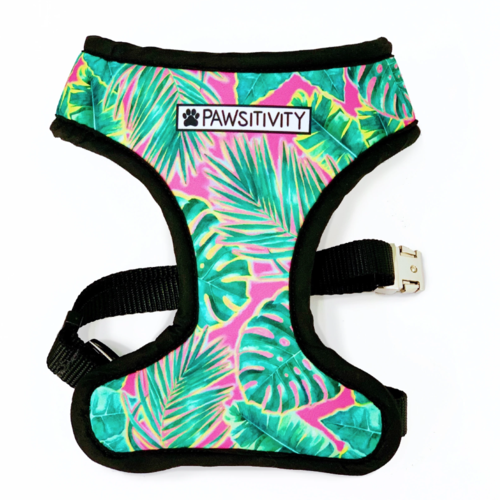 Pawsitivity Reversible Harness, Whales, Medium