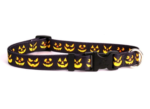 Yellow Dog Design, Jack O'Lantern